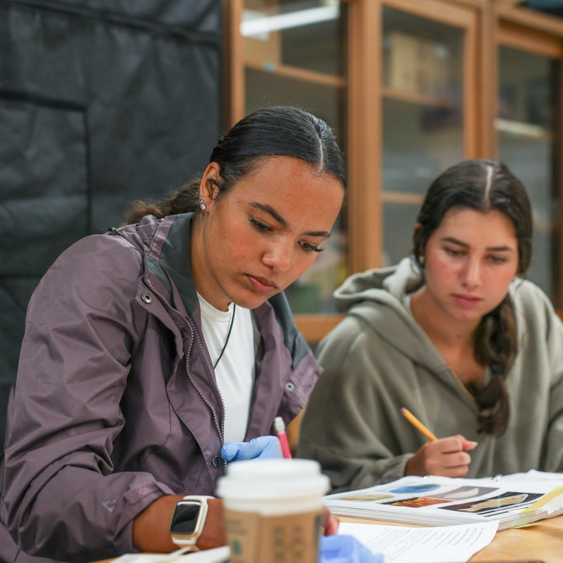Two young women look down at a table with textbooks on it