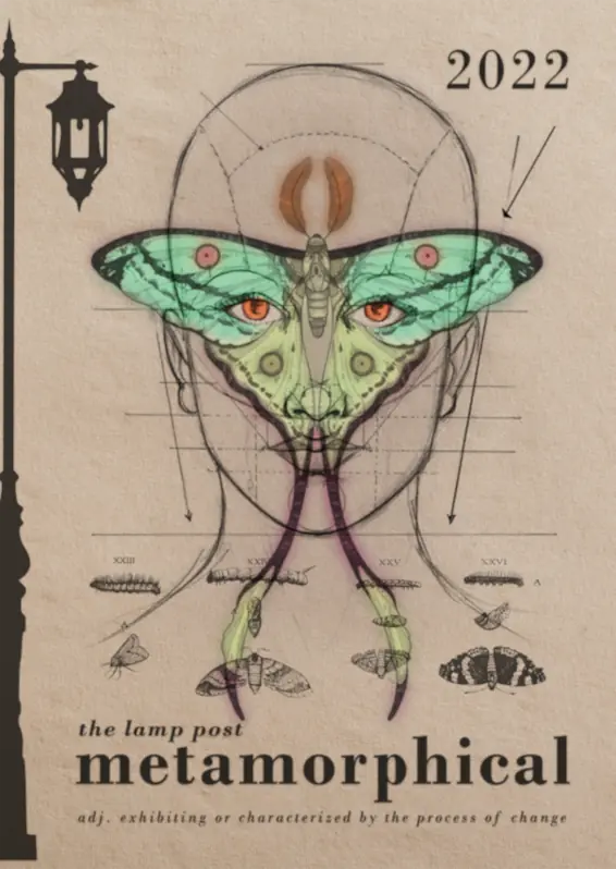 Lamp Post 2022 cover