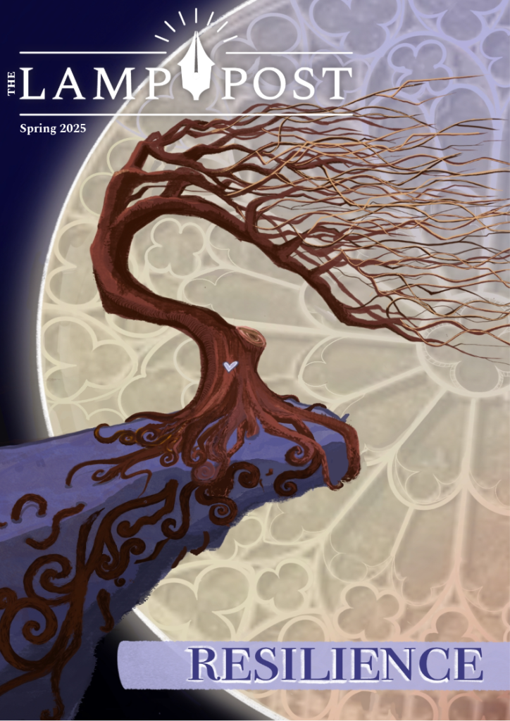 Lamp Post 2025 cover