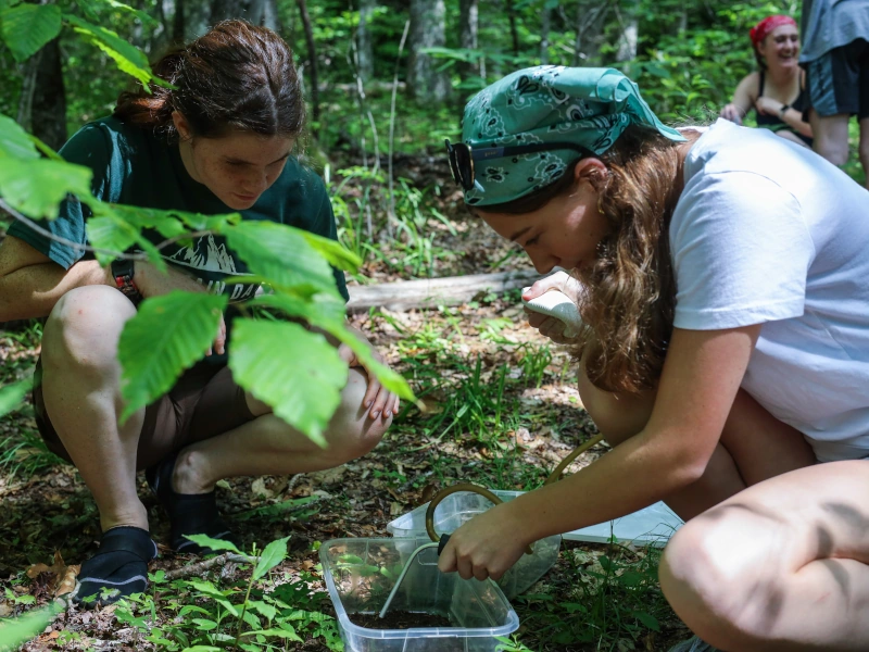 Two young women look at an animal outside