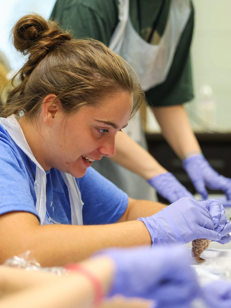 A young woman smiles while looking at a brain
